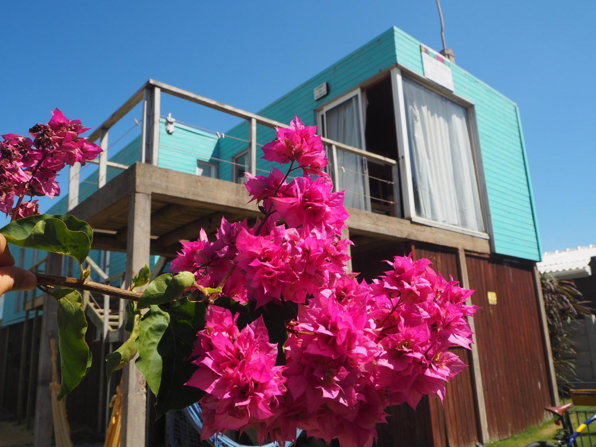 Hostel Vente Al Diablo Punta Del Diablo Eksteriør bilde